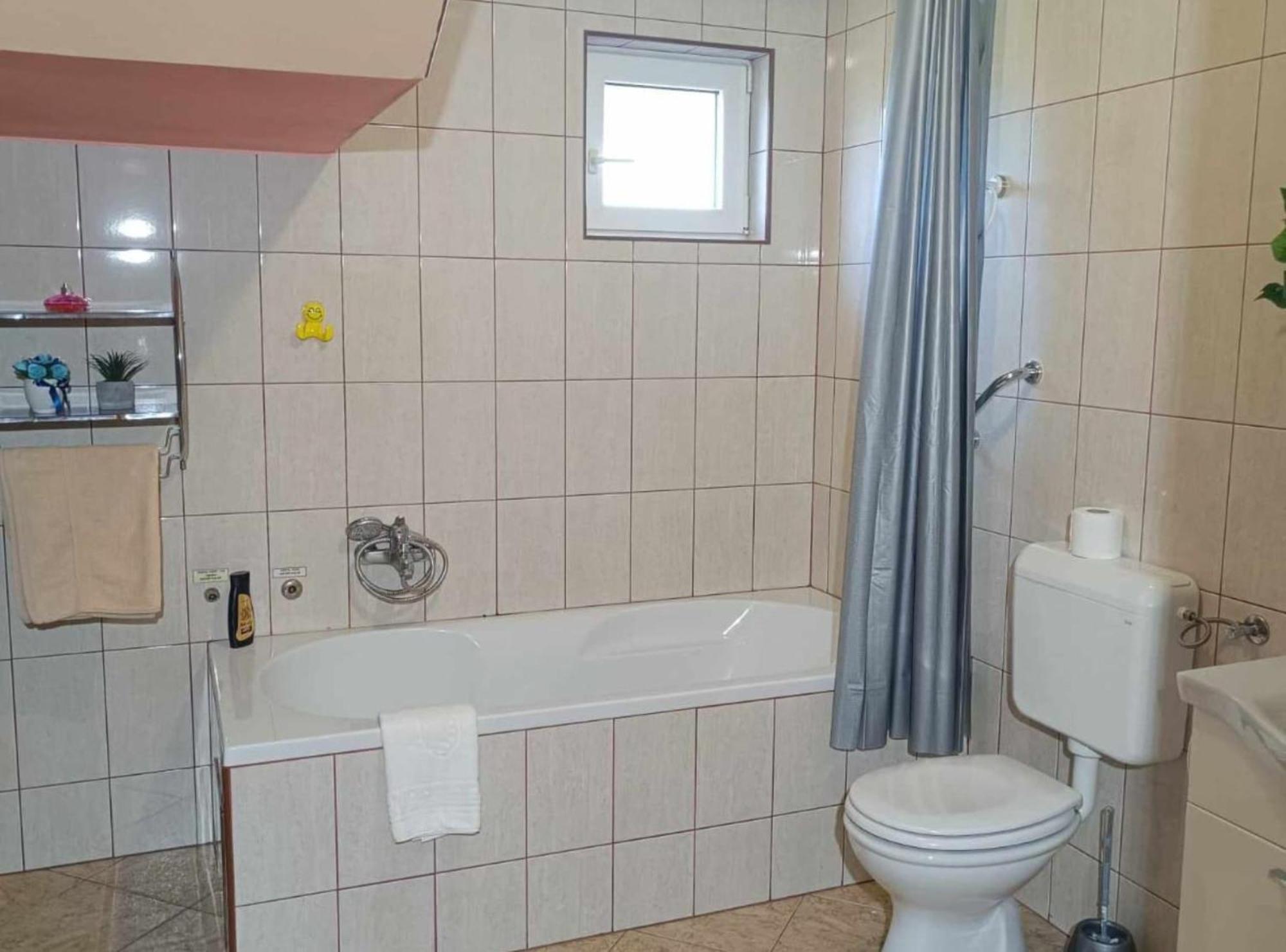 Apartmani Tea I Toni Gradiste Экстерьер фото